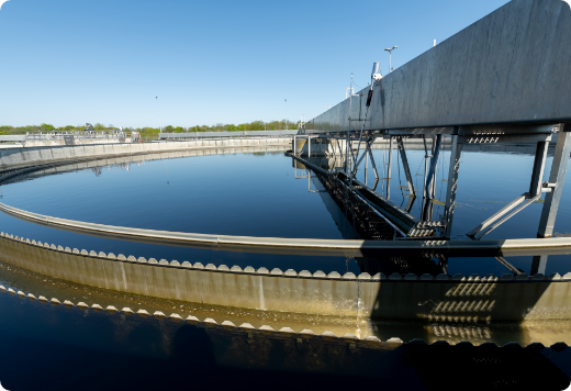 International Expansion image 2