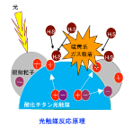 ダウンロード (5)