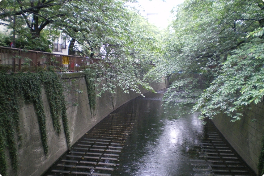 清流復活（目黒川）のイメージ